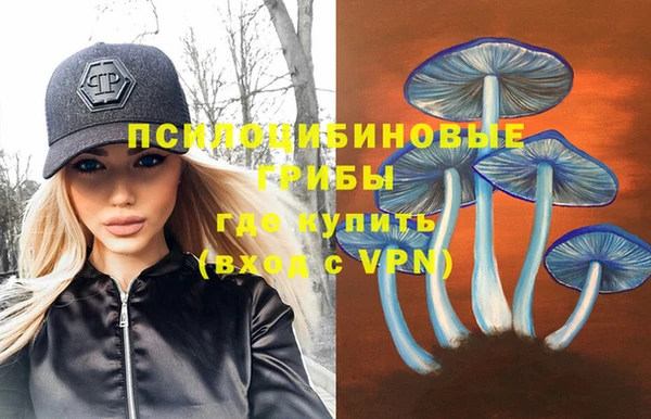 винт Зеленокумск